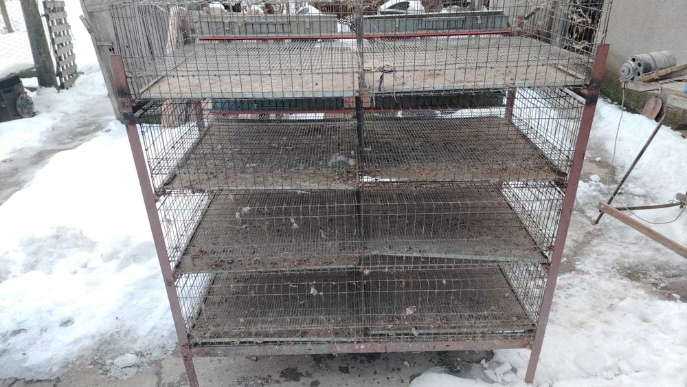 Vând cușcă pentru prepelițe