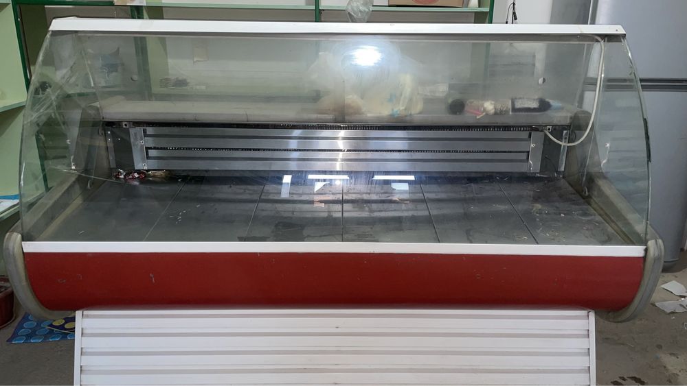 Холодельник ветреный