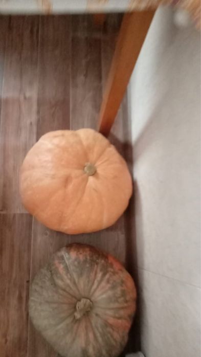 Продам тыкву сладкую 370 тг