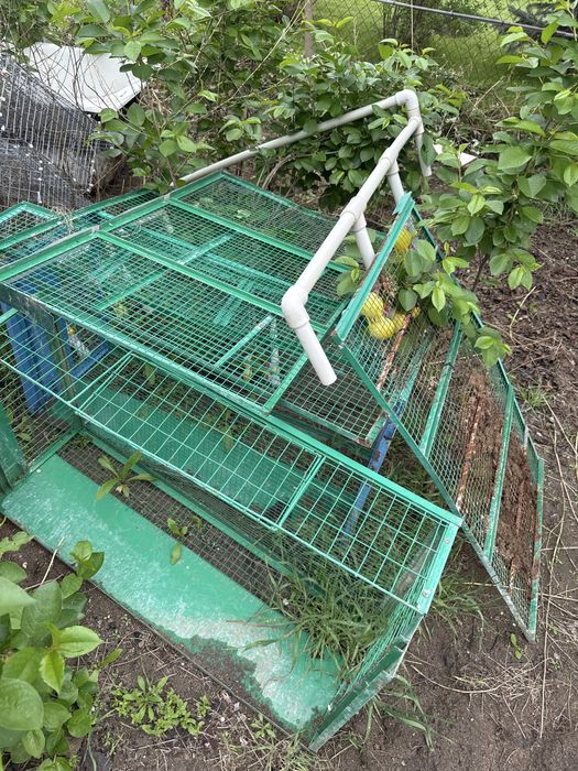 Клетки для перепелок. Инкубатор.