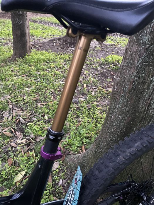 Yt capra 2018 kashima