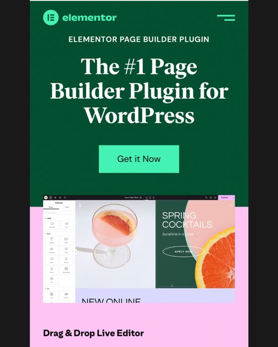 Лицензия Elementor Pro на 1 год