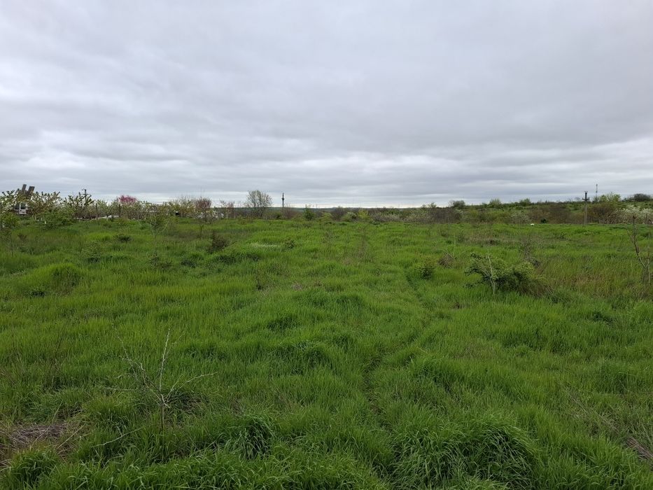 Teren intravilan 2000mp Cernavodă