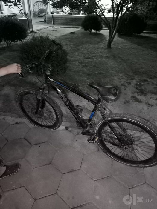 26 veliy kafolat langan