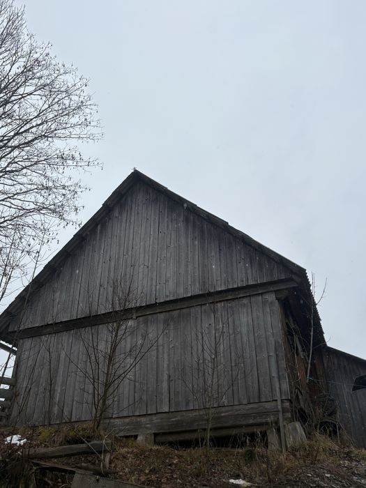 Poiată de vânzare Horea jud. ALBA