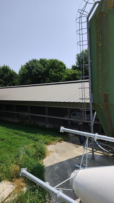 Panou  sandwich  pentru acoperis de 50mm