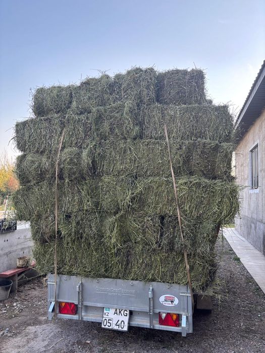 Жонышка сатылады