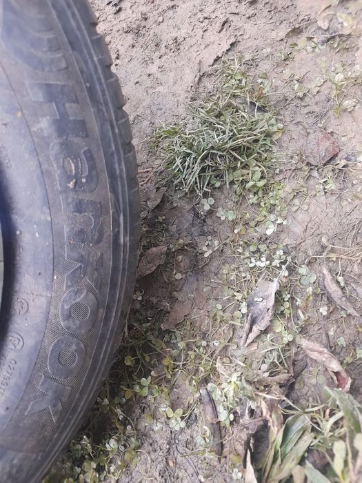 Vand roti 195/65 R15 91T