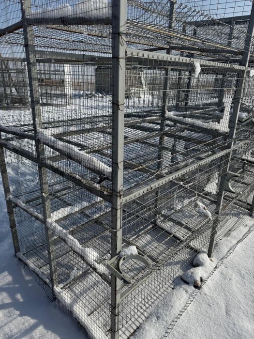 Клетки для кур несушек