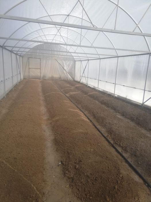 Парник готовый продам