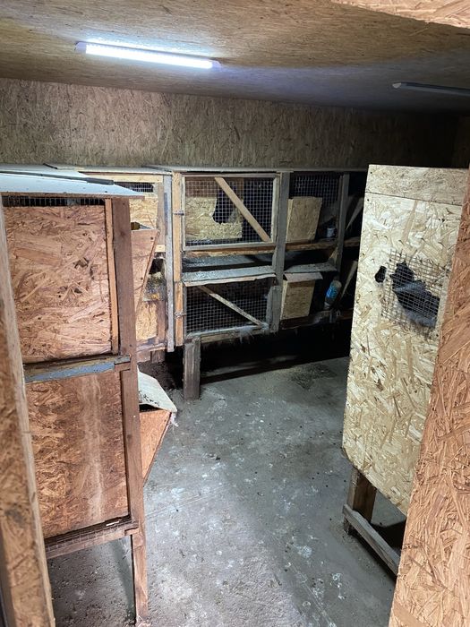 Продам дом станция тобол