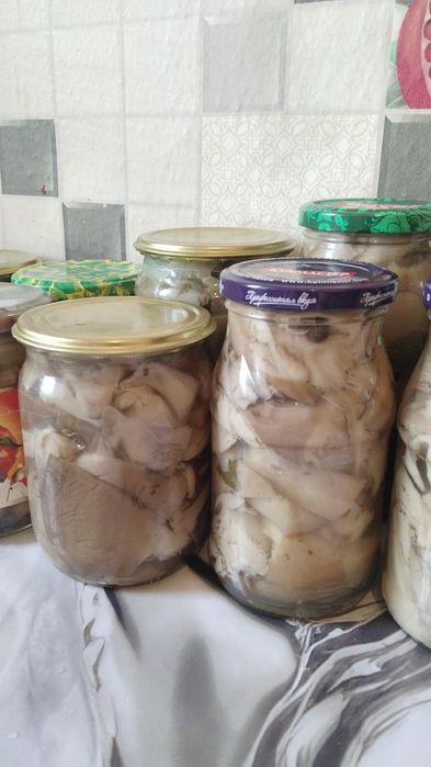 Продам грибы вешанки маринованные