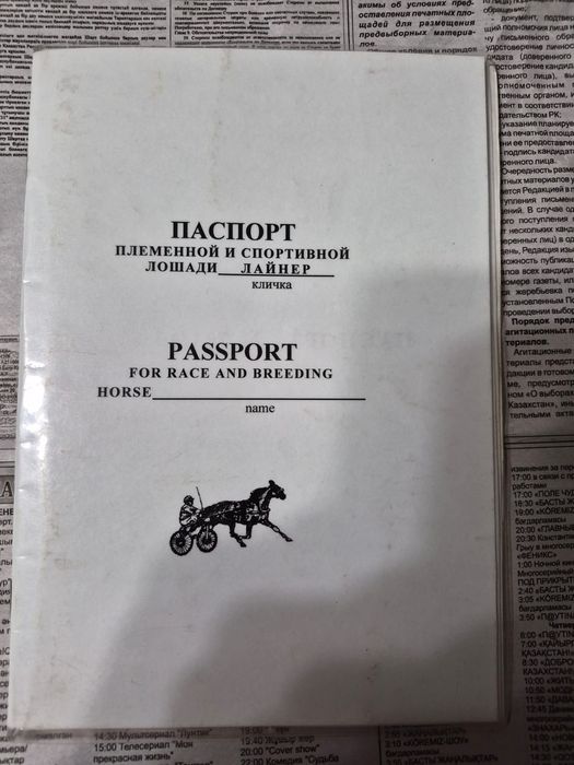 Продам кобылу жерёбую!