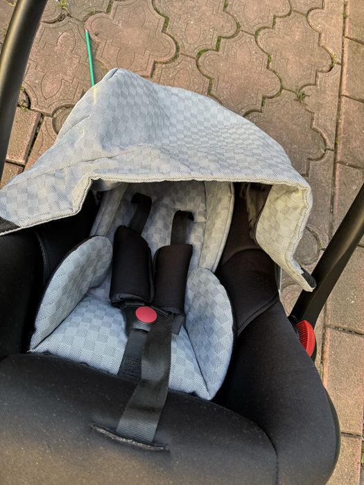 Scoica bebe bine intretinuta