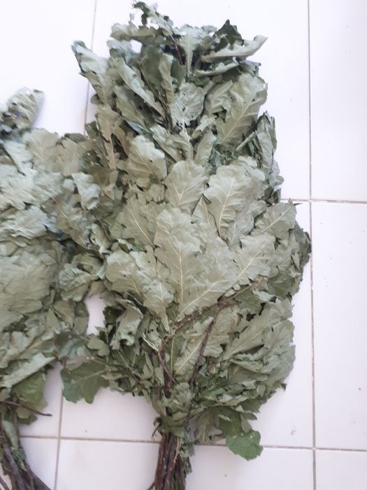 Веники дубовые для сауны