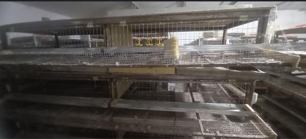 Продаеться сетка для содержания перепелки