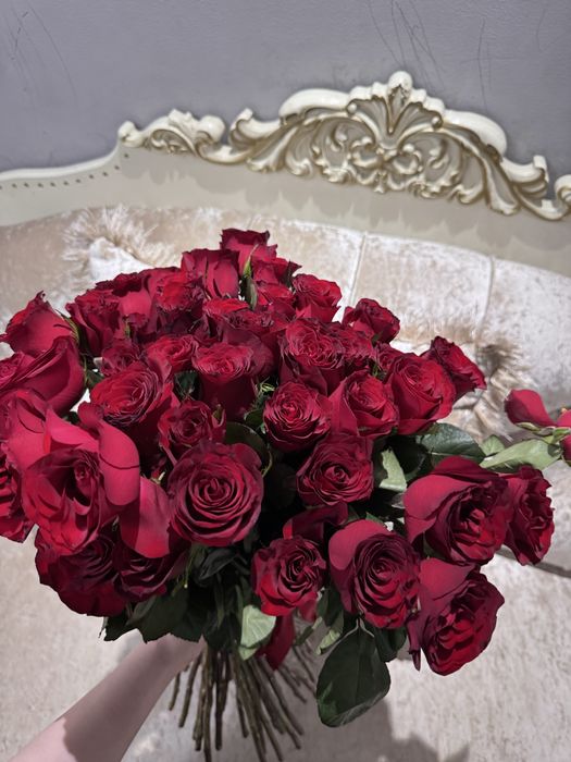 Красные розы41шт