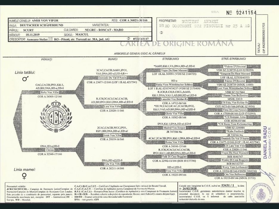 Pui ciobănesc german
