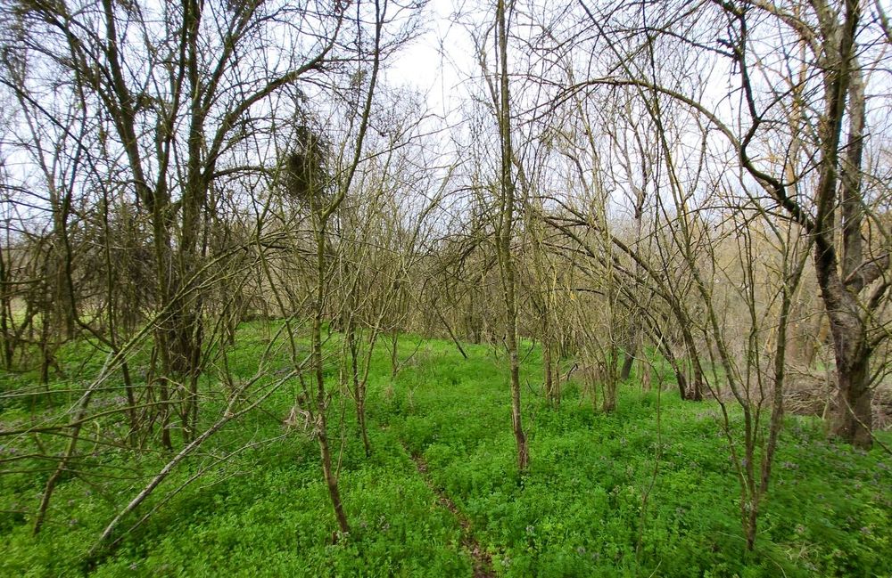 Продава се Къща в с. Ботево, Област Варна - 65 кв.м за 385 €/кв.м - Снимка #6