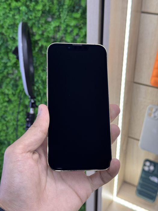 iPhone 13 Pro | 128GB | 79%