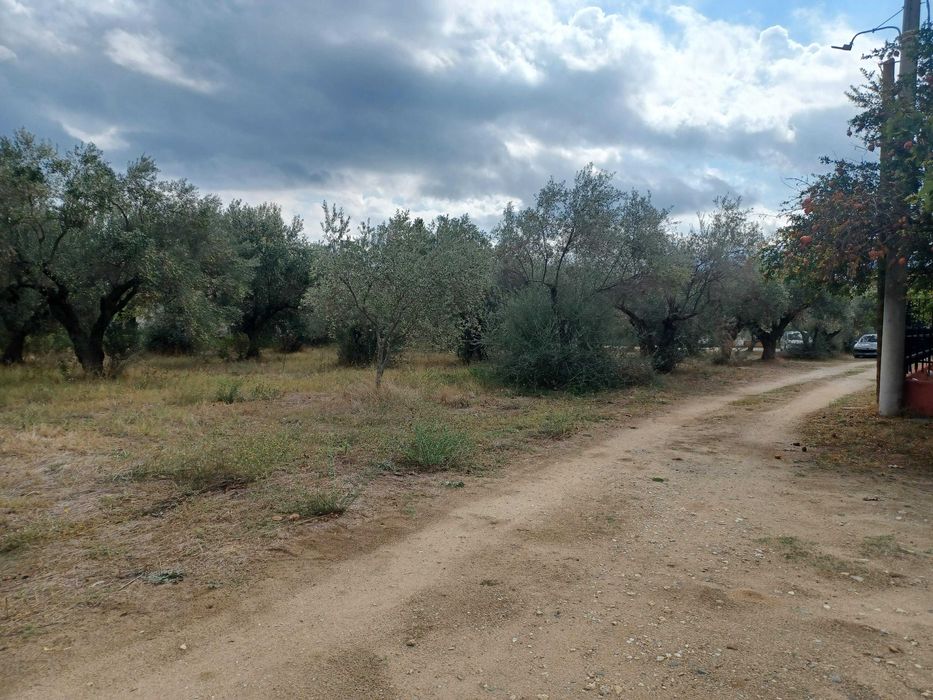 Продава се парцел 680 м2 в регулация в Неа Врасна, Гърция