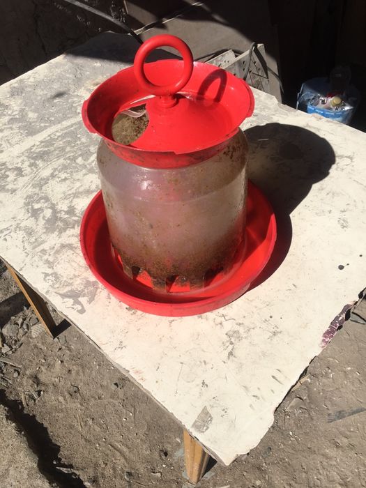 Посуда для цыплятт