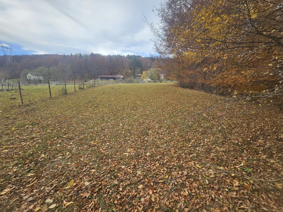 Teren  Valea Doftanei