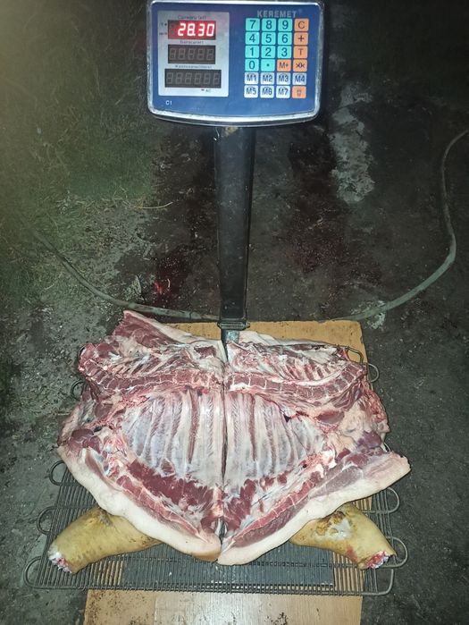 Продам мясо свинина