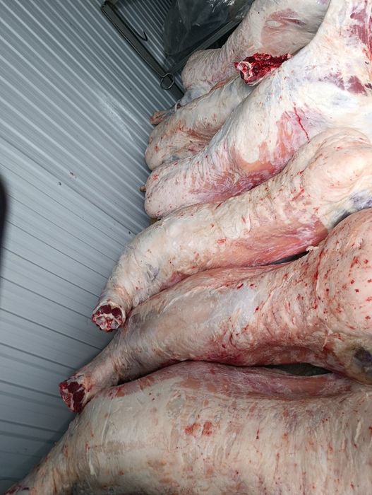 Продам баран продам