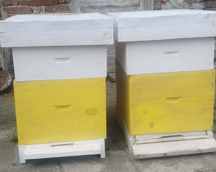 Кошер за пчелни семейства