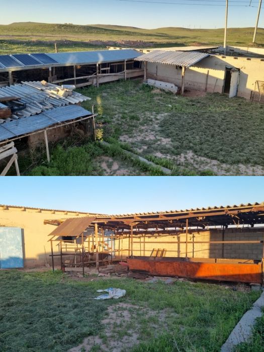 Фазенда, дача, үй