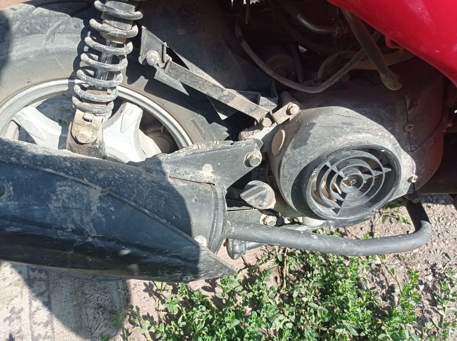 Продаю монстра "итальянец"