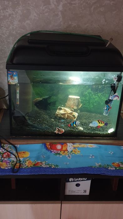 Продам аквариум 50 литров
