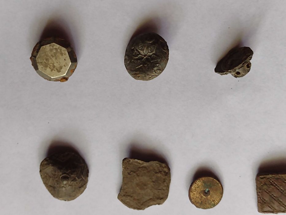 Nasturii lui napoleon