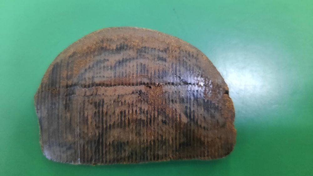 Прополис природный