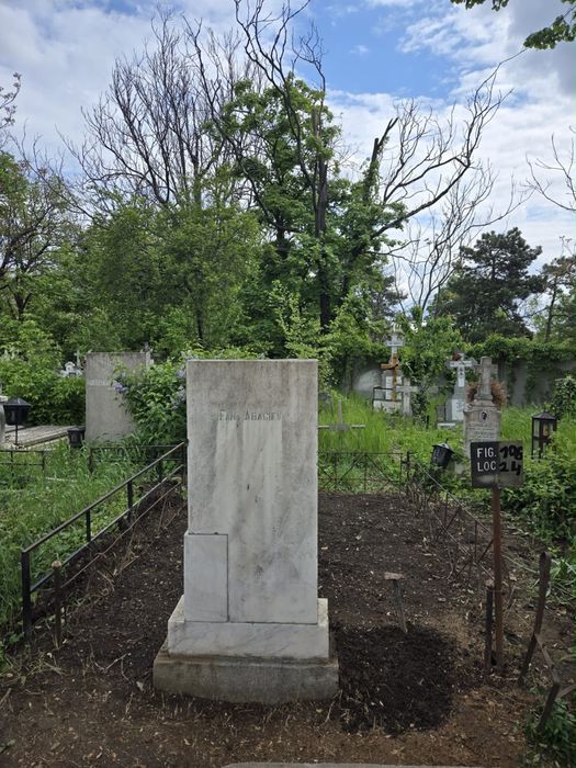 Locuri de veci la cimitirul belu figura 106 langa alee