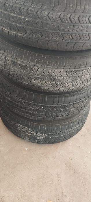 Cobalt diska balon xolati alo charmhoo balonda