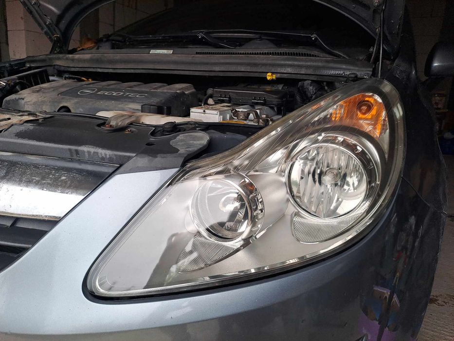 Polish Faruri matuite