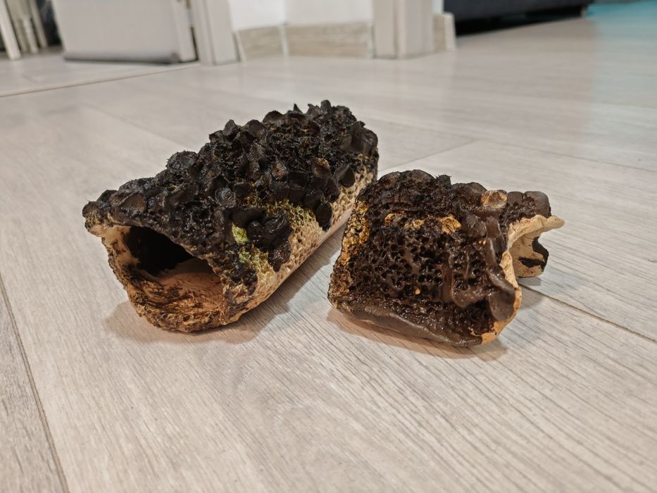 Vând decorațiune acvariu