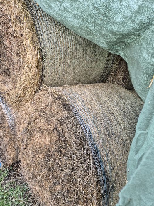 Vând baloți lucernă