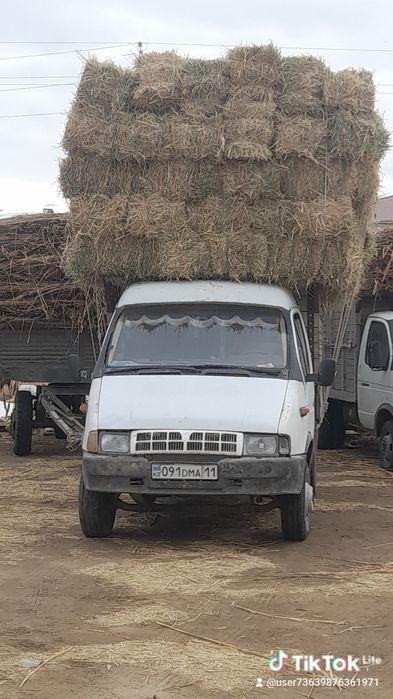 Камыс сабан прес бар