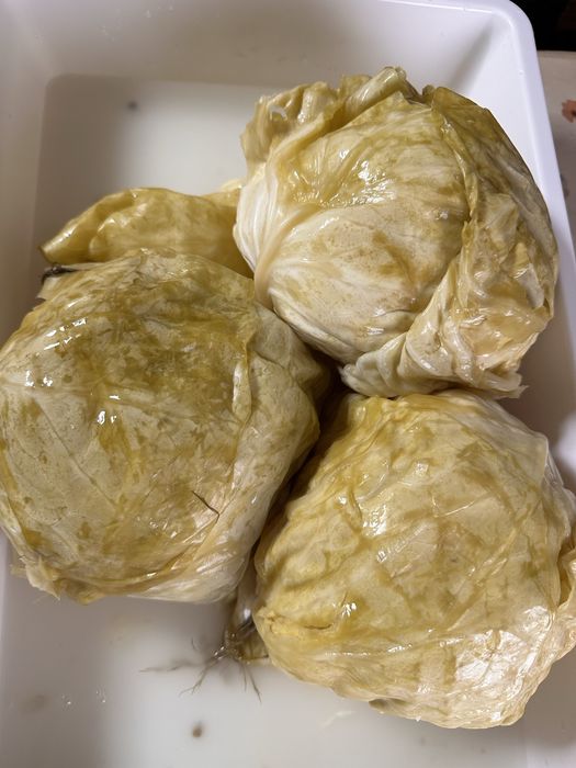 Varză murată de vânzare