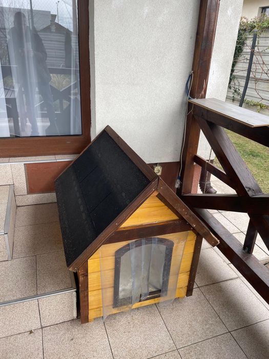 Cusca de caine talie mica spre medie