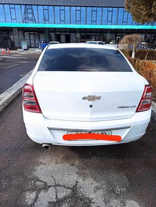 Cobalt 2019   oq Srochna