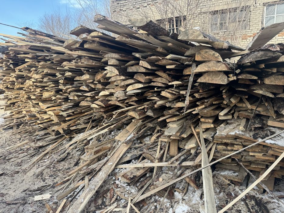 Дрова бесплатно отын тегин