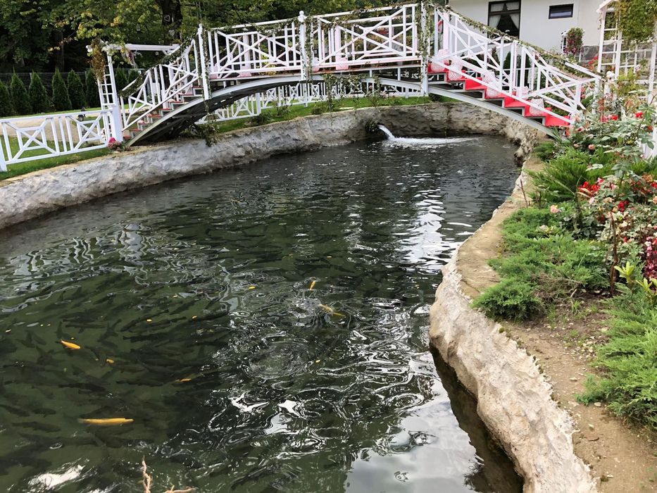 PASTRAV Curcubeu  brevet produs montan