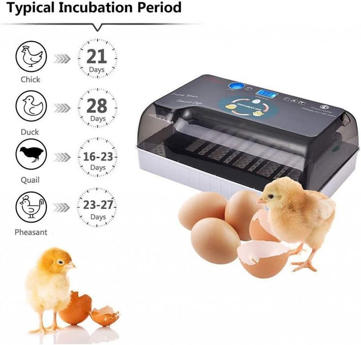 Автоматичен инкубатор за 12 яйца – Лесен за употреба YZ9-12