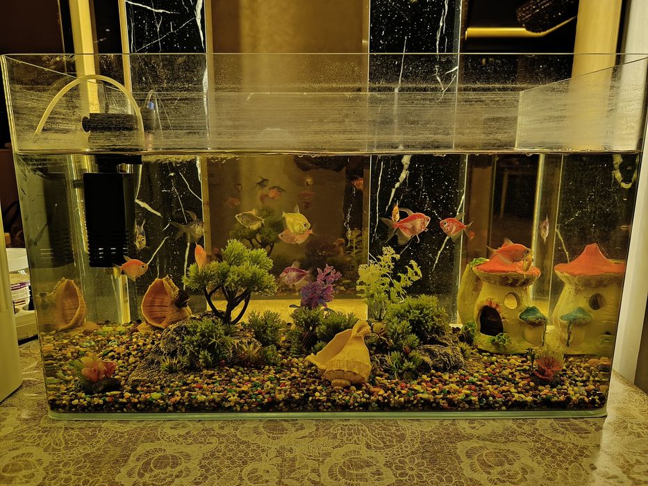 Аквариум с рыбками