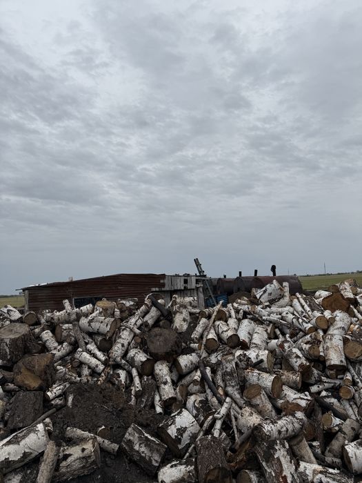 Дрвесный. Берёзовый уголь