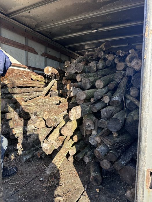 Vand lemne. … USCATE…. amestec de stejar, carpen, maracine, jugastrul.